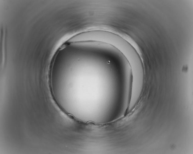 X0000090621005200708141409