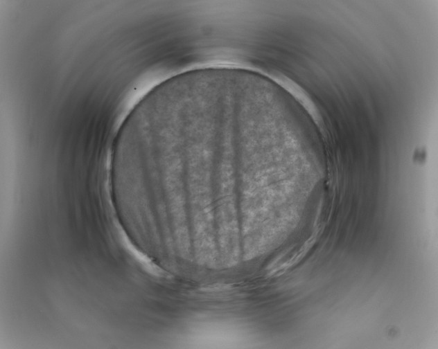 X0000090621006200708141409