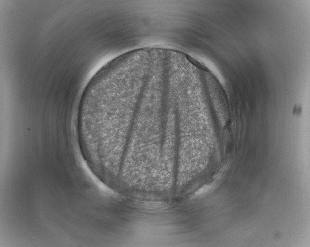 X0000090621007200708141409