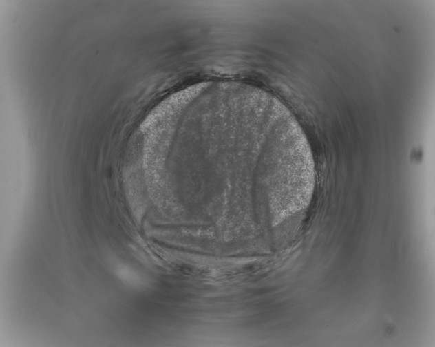 X0000090621009200708141408