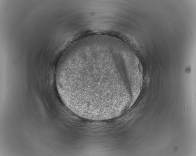 X0000090621012200708141408