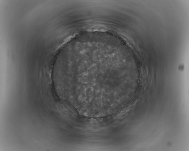 X0000090621013200708141408