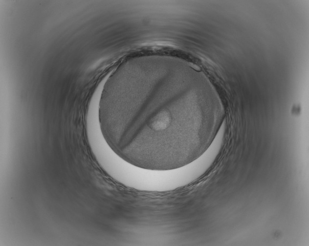 X0000090621014200708141408