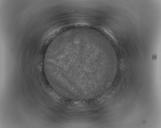 X0000090621015200708141408