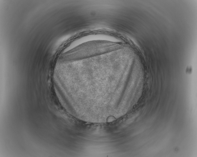 X0000090621016200708141408