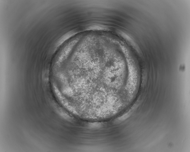 X0000090621017200708141408