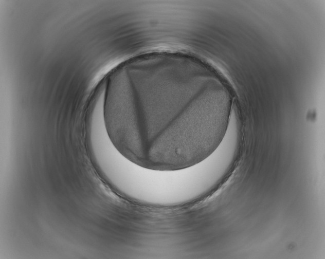 X0000090621018200708141408