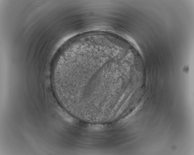 X0000090621019200708141408