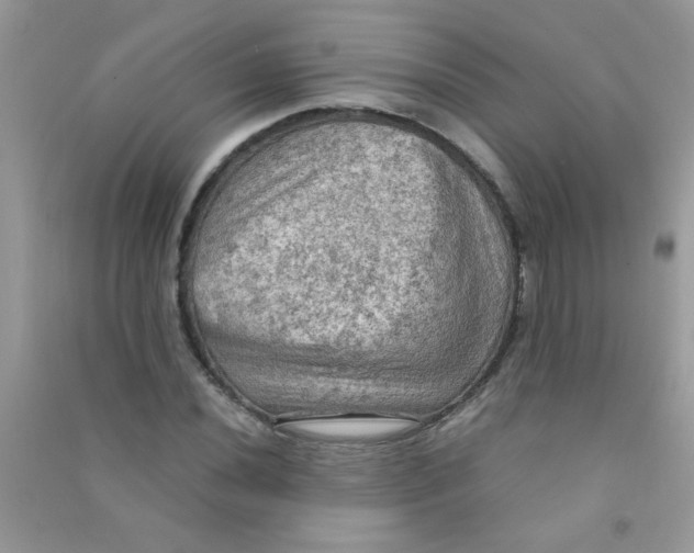 X0000090621020200708141408