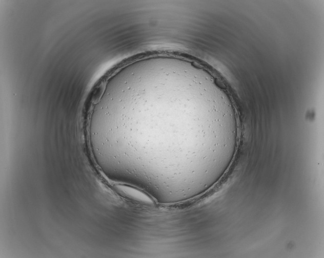 X0000090621022200708141408