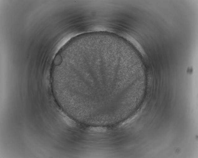 X0000090621023200708141408