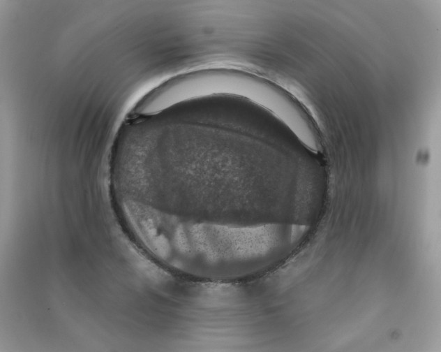 X0000090621024200708141408