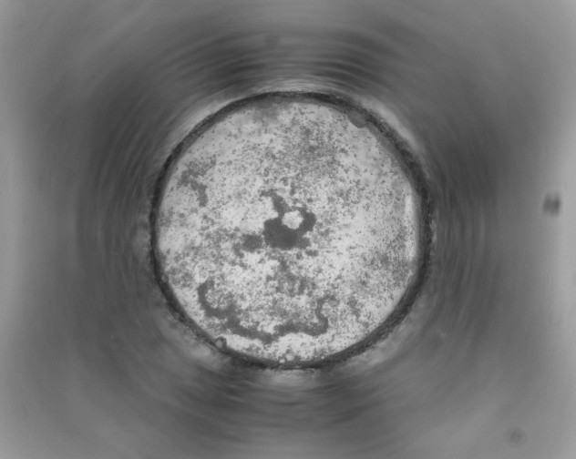 X0000090621025200708141408