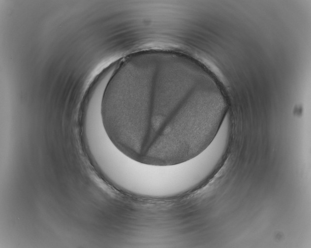 X0000090621026200708141408