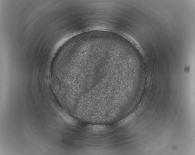 X0000090621027200708141408