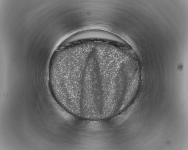 X0000090621028200708141408