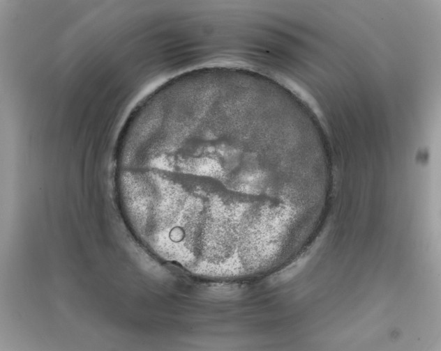 X0000090621029200708141408