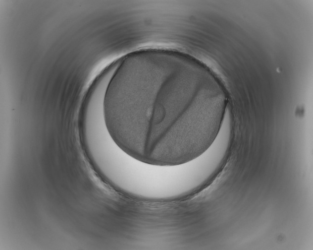 X0000090621030200708141408