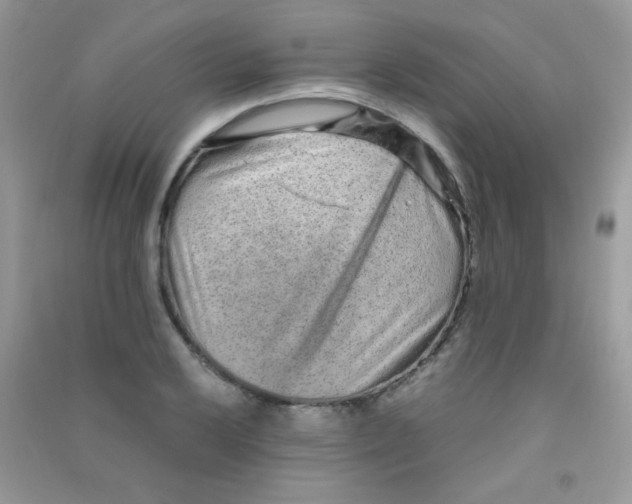 X0000090621032200708141408