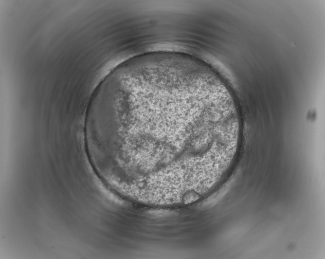 X0000090621033200708141408