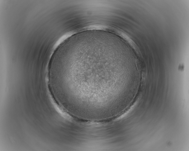 X0000090621034200708141408