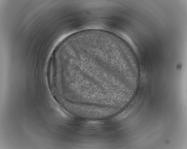 X0000090621035200708141408