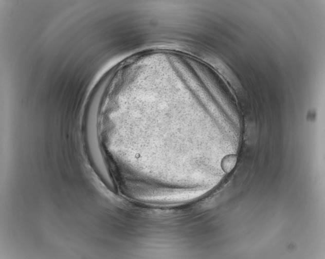 X0000090621036200708141408