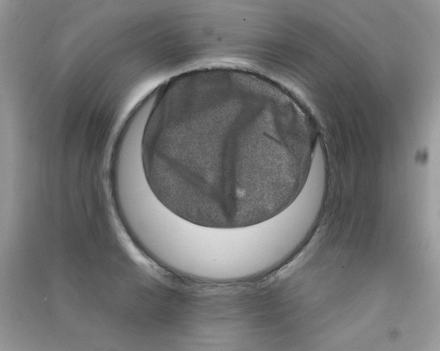 X0000090621038200708141409