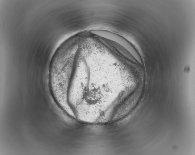 X0000090621040200708141409