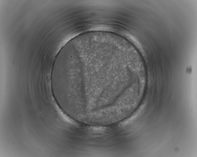 X0000090621041200708141409