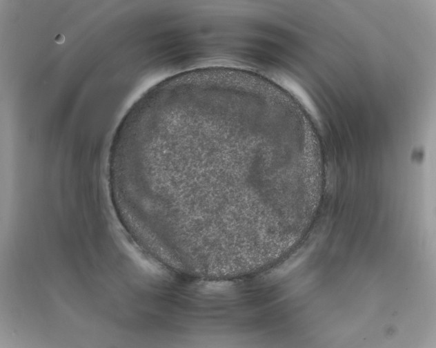 X0000090621043200708141409