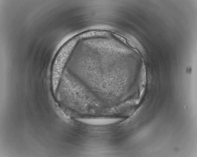 X0000090621044200708141409