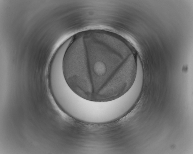 X0000090621046200708141409