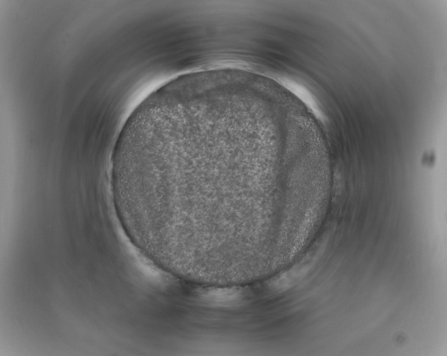 X0000090621047200708141409