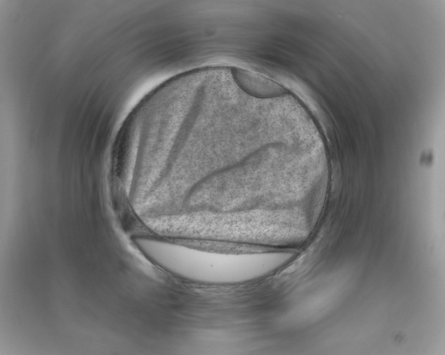 X0000090621048200708141409