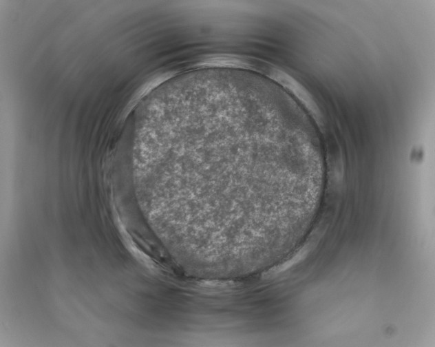 X0000090621049200708141409