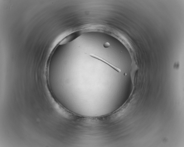 X0000090621050200708141409