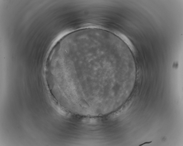 X0000090621051200708141409