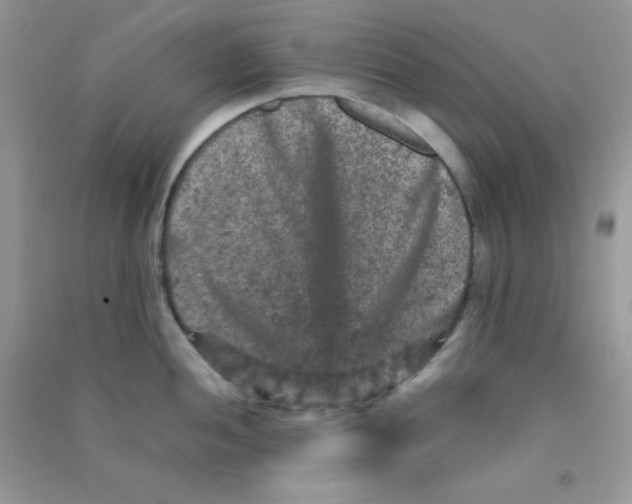 X0000090621052200708141409