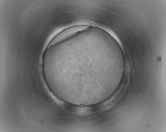 X0000090621053200708141409