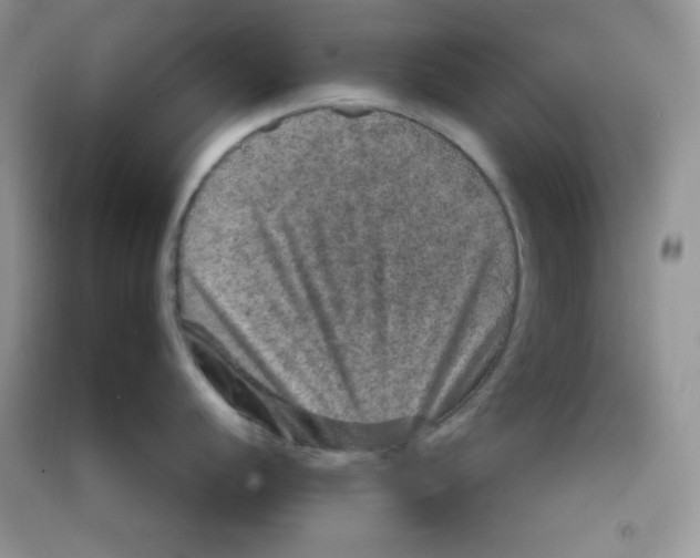 X0000090621056200708141409