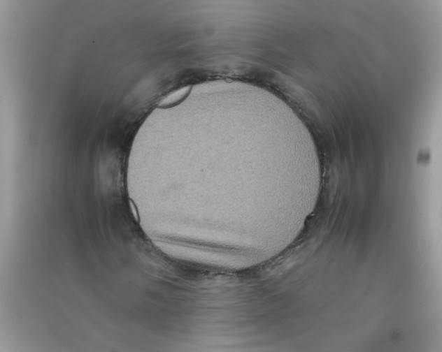 X0000090621058200708141408