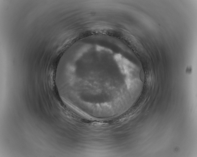 X0000090621060200708141408