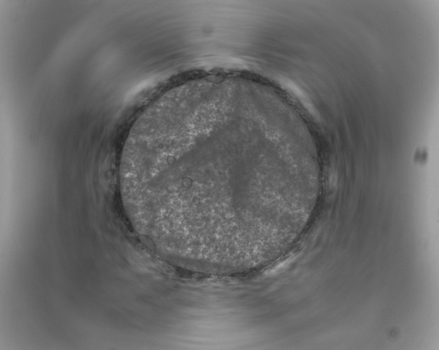 X0000090621063200708141408