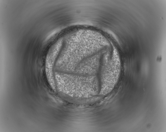 X0000090621064200708141408