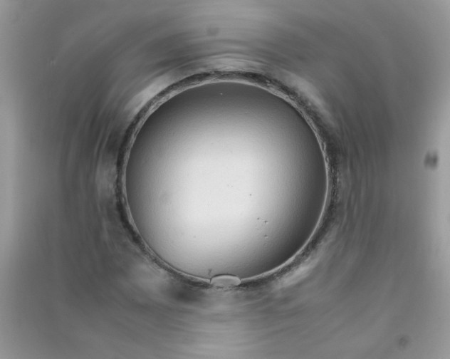 X0000090621065200708141408