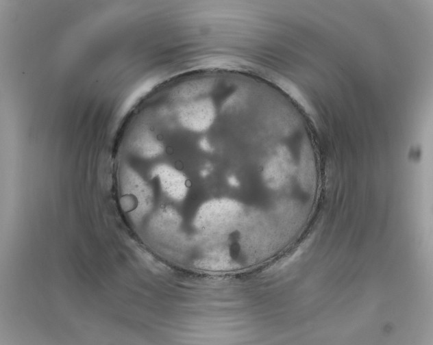 X0000090621067200708141408