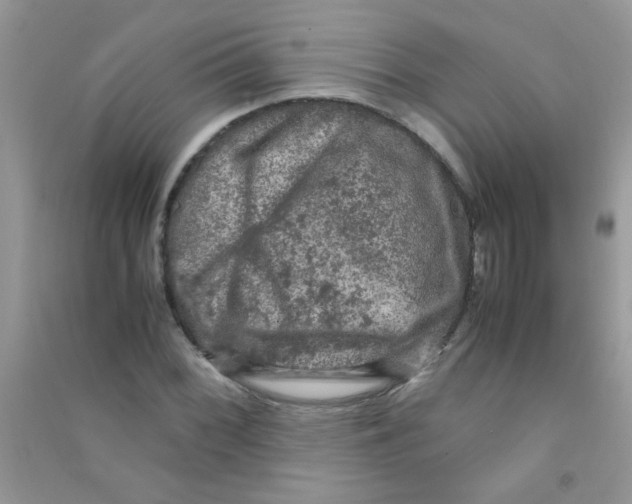 X0000090621068200708141408