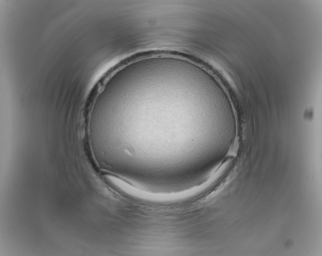 X0000090621069200708141408