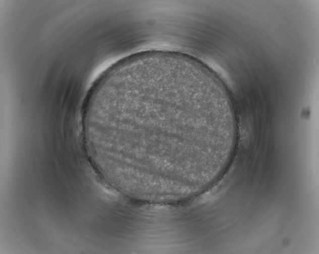 X0000090621070200708141408